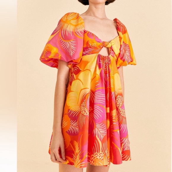 FARM RIO Summer Garden Ombre Mini Dress, SIZE LARGE 0760 - Picture 2 of 8